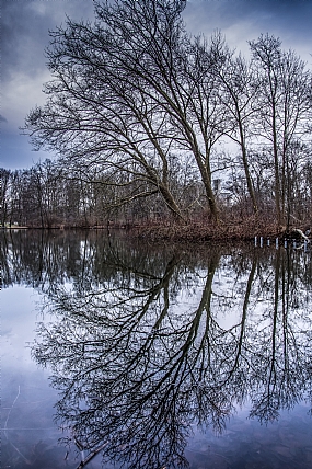 Nature landscape Trees water Parks & Gardens Seasons & Weather Lakes & Rivers World & Travel Europe