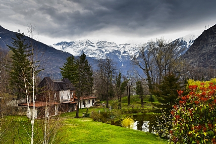 Nature landscape Plants Lakes & Rivers World & Travel Italy