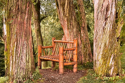 Nature Trees Parks & Gardens World & Travel