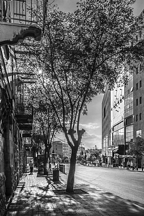 Photography Technics black & white Israel Jerusalem Israel views Israeli Streets