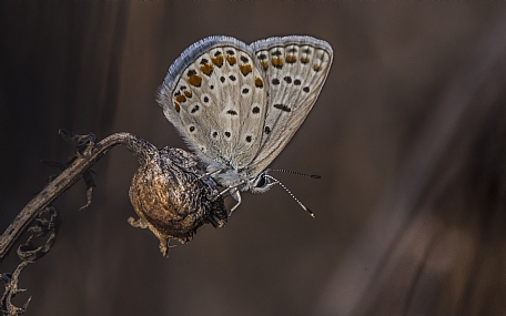 Photo by: Giorgio Fubini