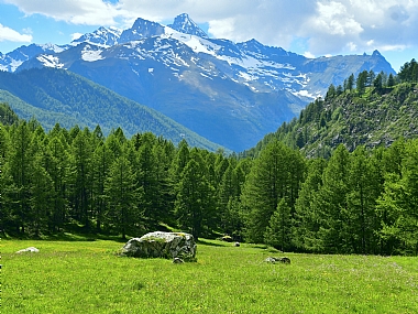 Nature landscape Parks & Gardens World & Travel Italy