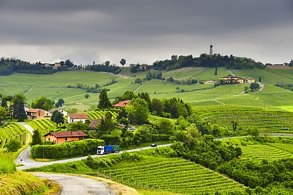 Nature landscape Plants World & Travel Italy