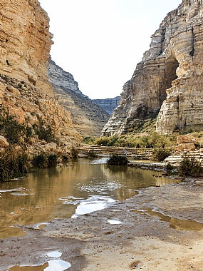 Nature landscape water Desert Lakes & Rivers Israel south of Israel