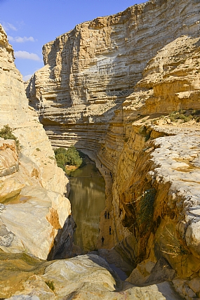 Nature landscape water Desert Lakes & Rivers Israel south of Israel