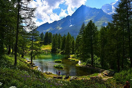 Nature landscape Trees Plants Lakes & Rivers World & Travel Italy