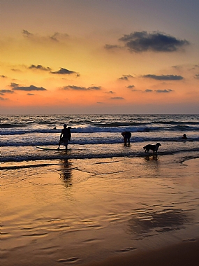 People people animals Dogs Nature water Shores Sunsets Israel North Israel