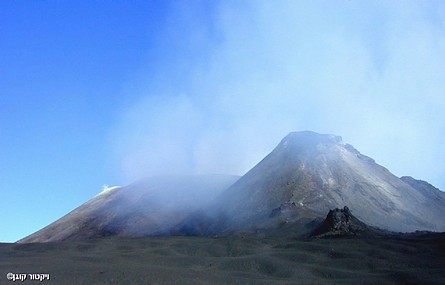 Photo by:  
