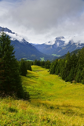 Nature landscape Trees Plants Sky Land World & Travel Europe
