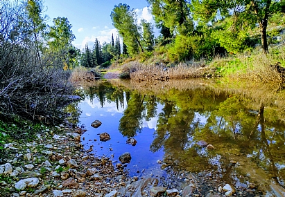 Photo by: Oded Baron