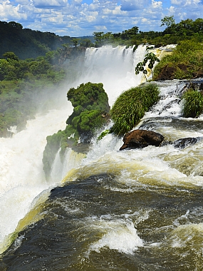 Nature landscape Plants water World & Travel Argentina