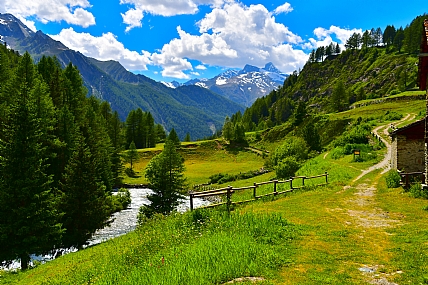 Nature landscape Trees Plants Lakes & Rivers World & Travel Italy