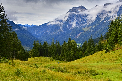 Nature landscape Trees World & Travel Europe