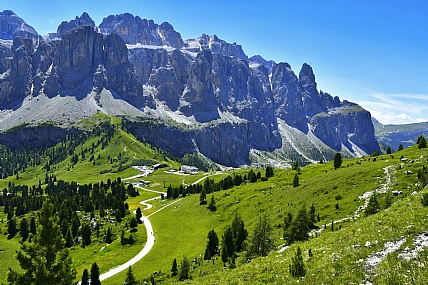 Nature landscape Trees Plants World & Travel Italy