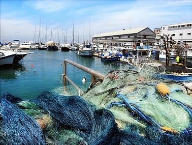 Israel Tel Aviv Professions fishermen