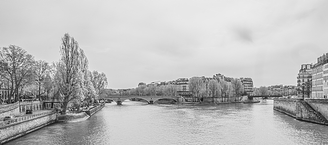 Photo by:  