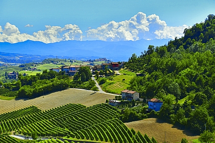 Nature landscape Plants World & Travel Italy Professions agriculture