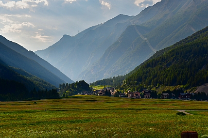 Nature landscape Flowers Plants Land World & Travel Italy