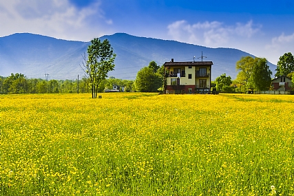 Nature landscape Flowers Plants Seasons & Weather World & Travel Italy