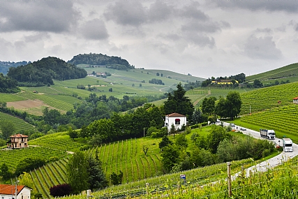 Nature landscape Trees Plants World & Travel Italy
