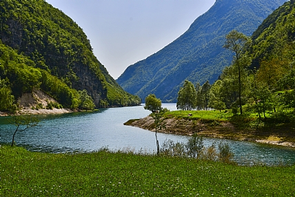 Nature landscape Plants Lakes & Rivers World & Travel Italy