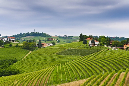 Nature landscape Plants World & Travel Italy