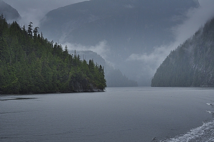 Nature landscape Trees water Shores Seasons & Weather World & Travel United States