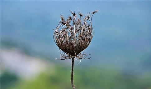 Photo by: yarden avital