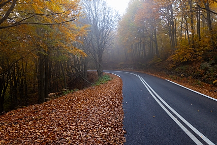 Nature landscape Seasons & Weather Transport Roads & Highways