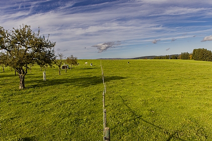 Nature landscape Trees Sky World & Travel Europe