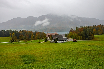 Nature Trees Seasons & Weather World & Travel Europe Picture Type