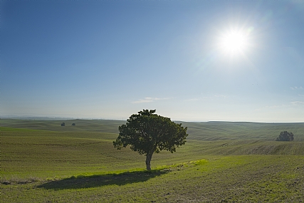 Photo by: Ofer Zilberstein