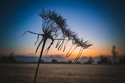 Photo by: yael peretz