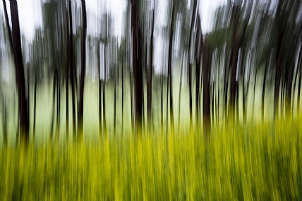 Photo by:  