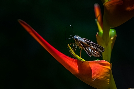 Photo by: Ehud S