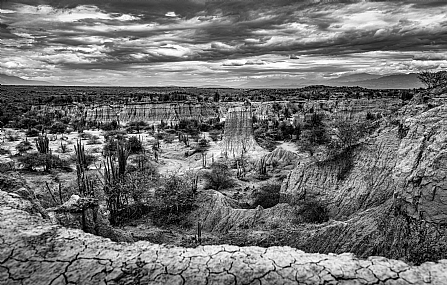 Photo by: Ehud S