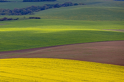 Nature landscape Plants Land Picture Type Photo