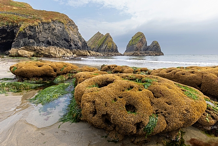 Nature Shores World & Travel Europe Picture Type Photo