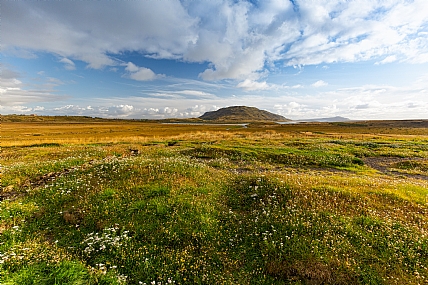 Nature landscape Plants Sky World & Travel Europe Picture Type Photo
