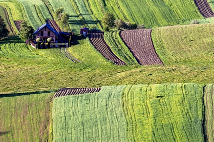 home & garden Garden World & Travel Europe Picture Type Photo