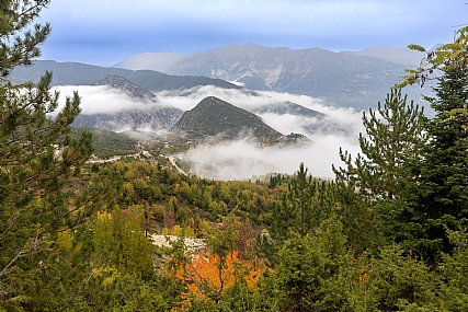 Nature landscape Plants World & Travel Greece Picture Type Photo