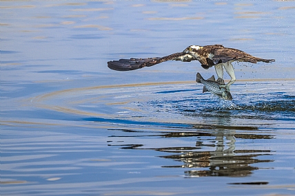 Photo by: yariv alaluf