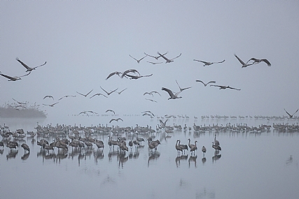 Photo by: yariv alaluf
