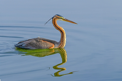 Photo by: yariv alaluf