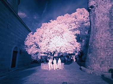 Photo by: arik kfir