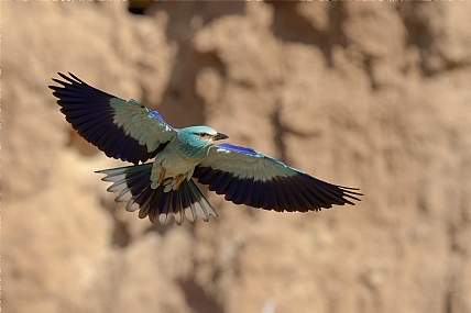 Photo by: yariv alaluf