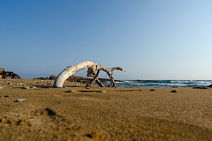 Photo by: Doron Hazan