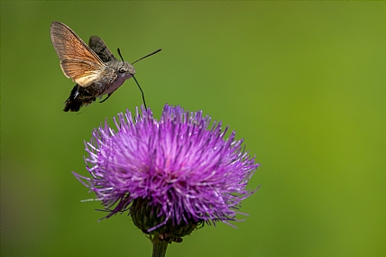 Photo by: yariv alaluf