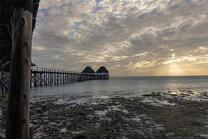 Photo by: yariv alaluf