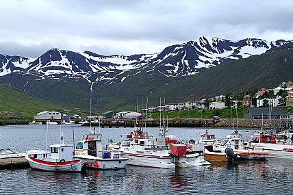 Photo by: menachem  lazar